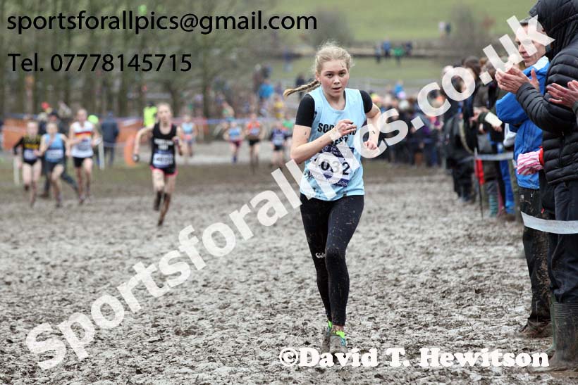 Girls under-15s 2018 British Inter Counties Cross Country Champs., Prestwold Hall, Loughborough. Photo: David T. Hewitson/Sports for All Pics
